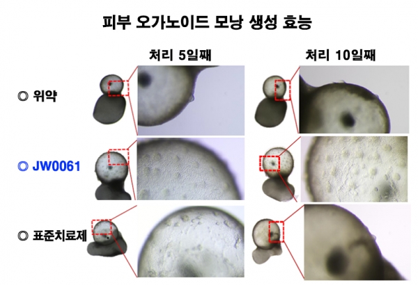 오가노이드 평가. [사진=JW중외제약 제공]